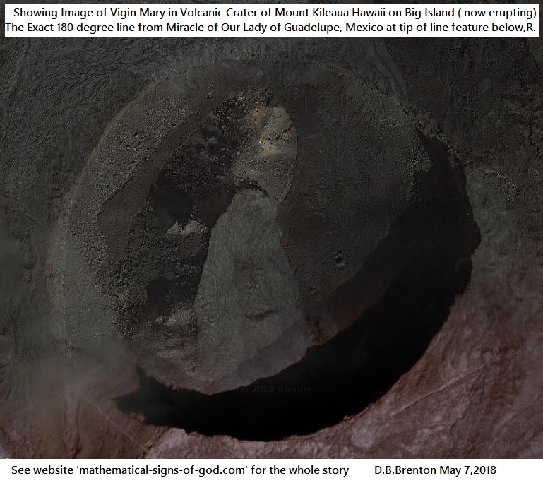 Hawaii Holy Mary Image